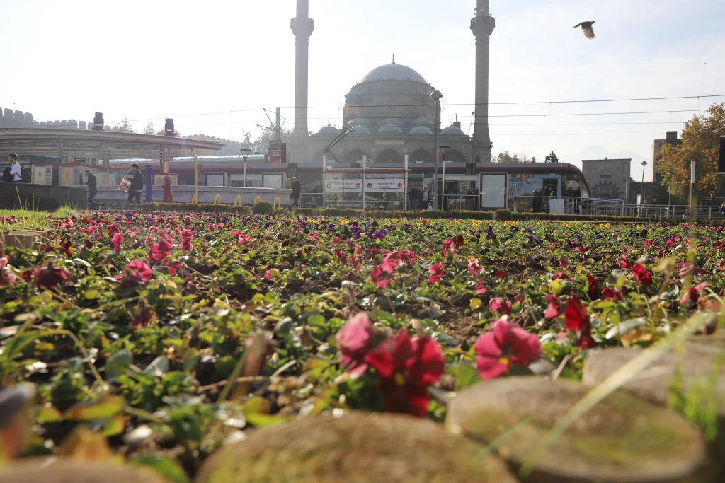 IMG 9554 z - Mega TV