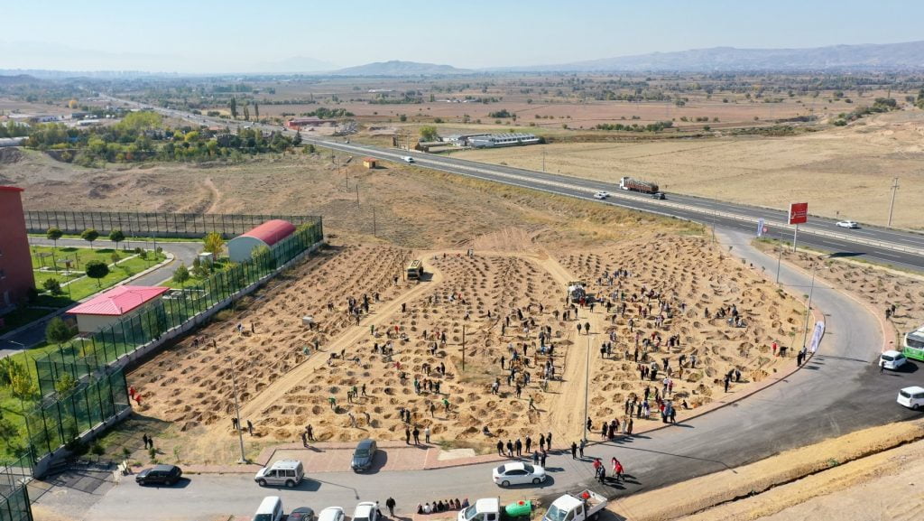 Screenshot 5 - Mega TV