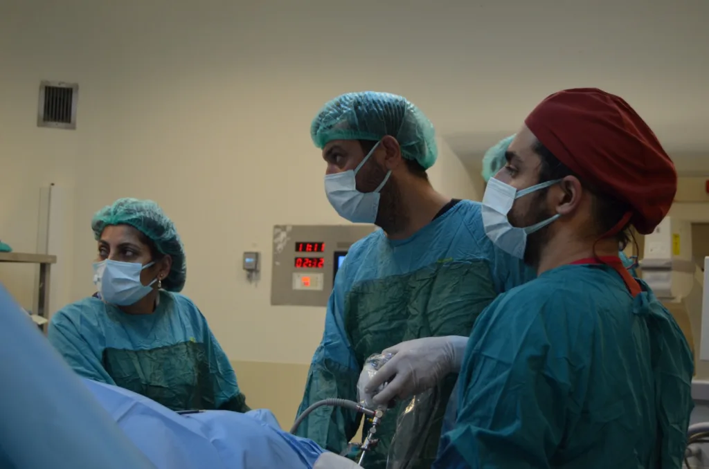 1a94d1a0 1ecc 44be b321 050428c8a0bc - Mega TV