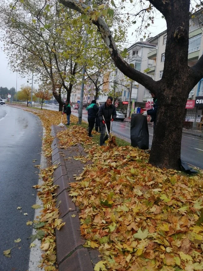 BÜYÜKŞEHİR, TOPLADIĞI GAZELLERİ GÜBREYE DÖNÜŞTÜRÜYOR - Mega TV 4 n 1 jpg - Mega TV