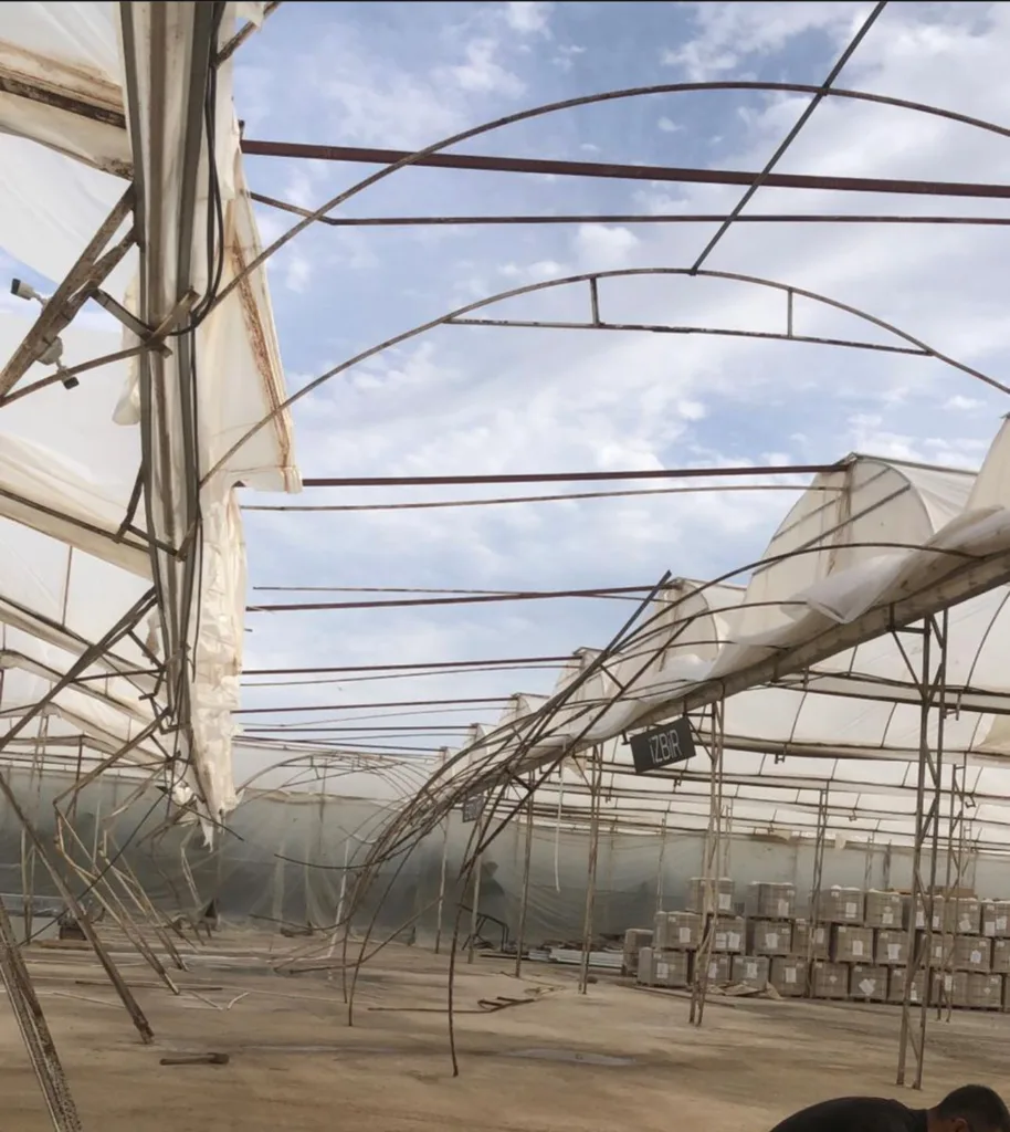 6ab6fc3a e5e2 4034 a096 0b478f883c85 1 - Mega TV