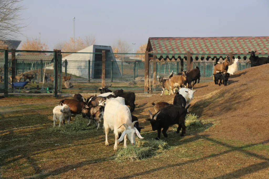 MRK32642 8 - Mega TV