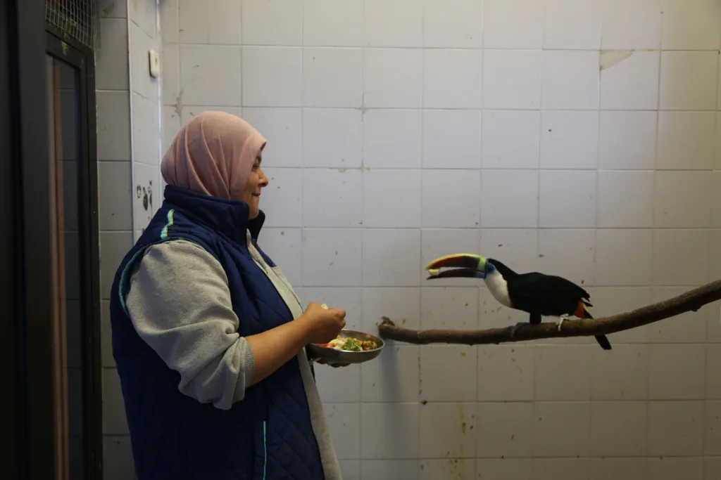 MRK32767 9 - Mega TV