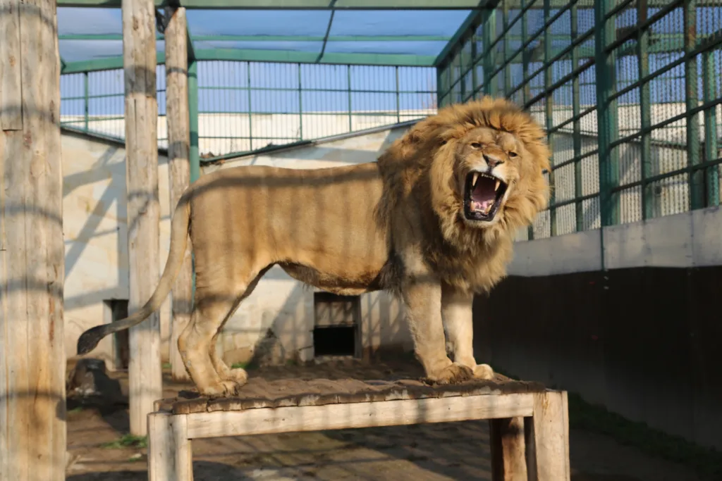 MRK32860 3 - Mega TV