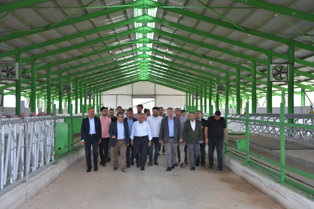 photo 2022 07 01 11 36 21 r - Mega TV