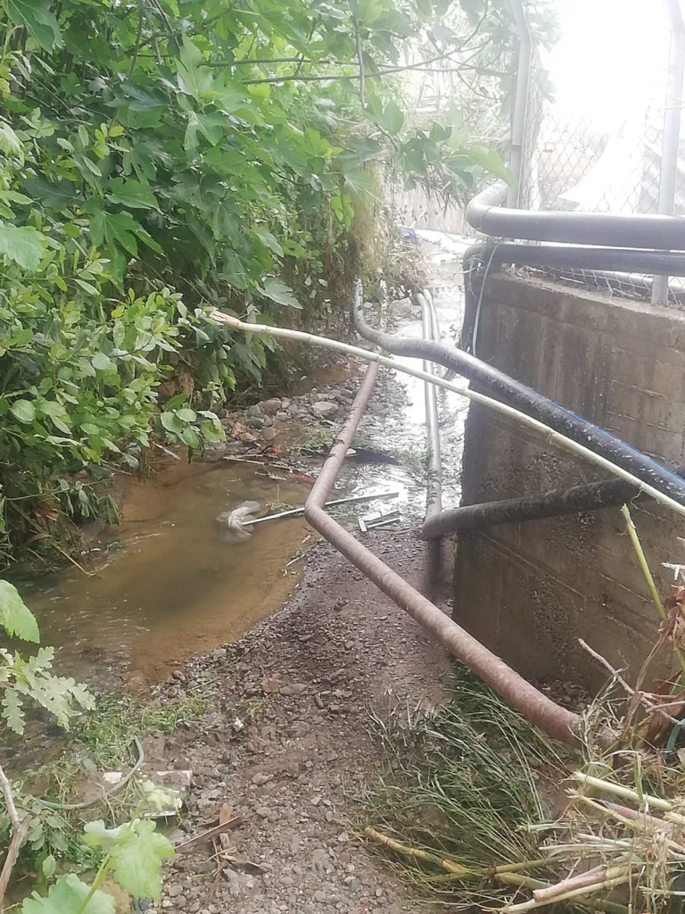 42efaa47 41c5 4ac8 a070 69352ed2c982 - Mega TV