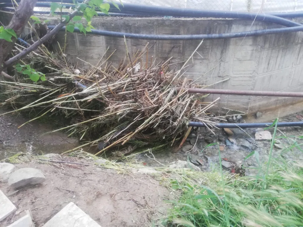 WhatsApp Image 2023 04 28 at 14.00.07 1 - Mega TV