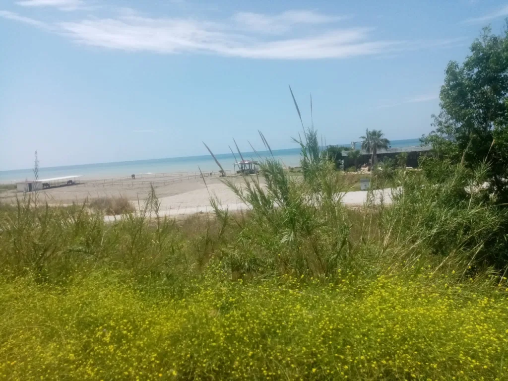 ALANYA SAHİPSİZ Mİ? - Mega TV WhatsApp Image 2023 05 08 at 14.51.01 3 - Mega TV