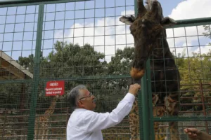 BÜYÜKŞEHİR HAYVANAT BAHÇESİ, KURBAN BAYRAMI’NDA ÜCRETSİZ - Mega TV 3 9 min - Mega TV