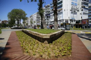 PARK BAHCELER CICEK DIKIMI 6 - Mega TV