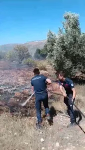 BÜYÜKŞEHİR İTFAİYESİ, ORMAN YANGINLARINI SÖNDÜRMEK İÇİN CANLA BAŞLA GÖREV YAPTI - Mega TV 2 0 min - Mega TV