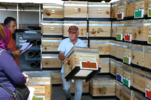 Ari Kovani Hibe Destegi 5 min 1 - Mega TV