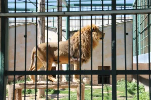 IMG 1731 x min - Mega TV