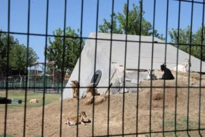 IMG 1740 7 min - Mega TV