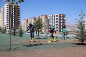 BÜYÜKŞEHİR’DEN YEŞİLYURT PARK ALANI’NDA “DOĞA DOSTU” ÇALIŞMALAR - Mega TV IMG 1760 9 min - Mega TV