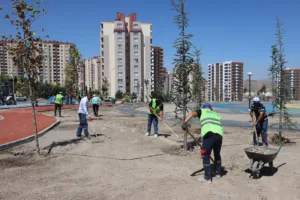 BÜYÜKŞEHİR’DEN YEŞİLYURT PARK ALANI’NDA “DOĞA DOSTU” ÇALIŞMALAR - Mega TV IMG 1778 0 min - Mega TV