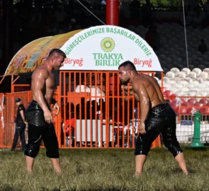 SRD 3043 min - Mega TV