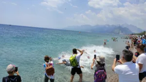 Triatlon etkinlikleri 3 min - Mega TV