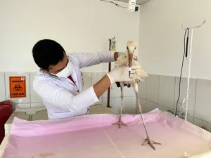 WhatsApp Gorsel 2023 07 07 saat 17.28.44 - Mega TV