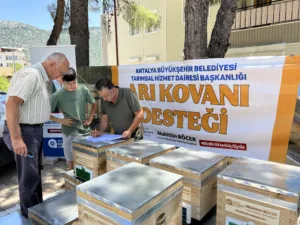 BÜYÜKŞEHİR'İN ARI KOVANI DESTEKLERİ SÜRÜYOR - Mega TV akseki 6 min - Mega TV