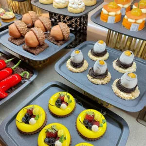 ascilik satj erasmus 11 min - Mega TV