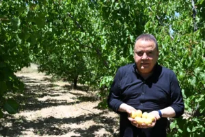 baskan begis susuzu temel atma 13 min - Mega TV