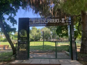 kopek parkuru 1 min 1 - Mega TV