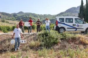 BÜYÜKŞEHİR'İN ÇİFTCİLEREE FAYDALI BÖCEK DESTEĞİ DEVAM EDİYOR - Mega TV Buyuksehirin Ciftcilere Faydali Bocek Destegi Devam ediyor 16 min - Mega TV
