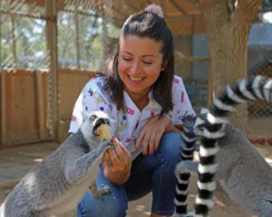 DOGAL YASAM PARKI HAYVANLARA BUZLU MEYVE SERVISI 4 min - Mega TV