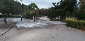 Büyükşehir ekipleri karavan park tahliyesini tamamladı - Mega TV karavan alanlari temizlik 10 min - Mega TV