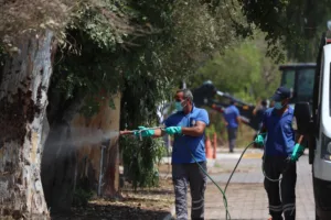 Büyükşehir ekipleri karavan park tahliyesini tamamladı - Mega TV karavan alanlari temizlik 4 min - Mega TV