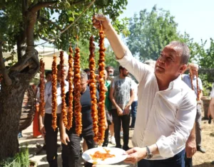 Antalya Gastronomi Festivali’nin İkinci Gününde Mor Üzüm Hasadı - Mega TV IBRADI UZUM HASADI2 min - Mega TV