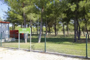 Sokak Hayvanlari Gecici Bakim Evi 2 min 1 1 - Mega TV