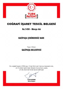 Gazipaşa Çekirdeksiz Narımız Tescillendi - Mega TV WhatsApp Image 2023 09 05 at 10.15.30 - Mega TV