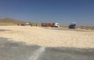 17.35 2 f min - Mega TV