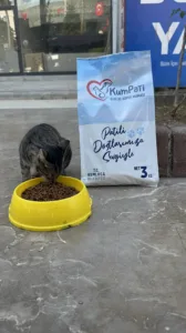 IMG 2167 min - Mega TV