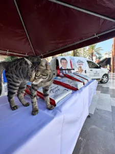 IMG 2171 min - Mega TV