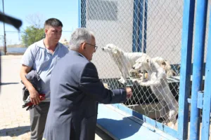 NURI7314 u min - Mega TV