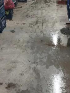 WhatsApp Image 2023 10 06 at 10.34.52 1 - Mega TV