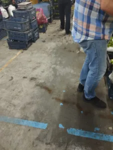 WhatsApp Image 2023 10 06 at 10.34.53 4 - Mega TV