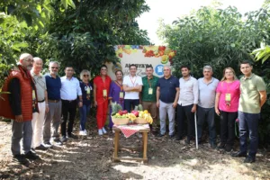 2. Alanya Tropikal Meyve Festivali Hasat Etkinliği İle Başladı - Mega TV WhatsApp Image 2023 10 06 at 14.14.57 - Mega TV