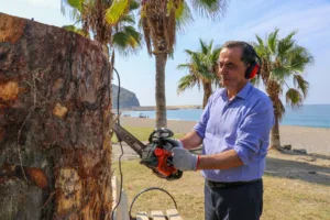 WhatsApp Image 2023 10 17 at 16.42.26 1 - Mega TV