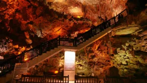 WhatsApp Image 2023 10 23 at 16.18.16 - Mega TV