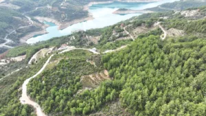 Üzümlü Yolu Asfaltla Buluştu - Mega TV WhatsApp Image 2023 10 31 at 14.50.26 1 - Mega TV