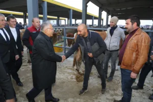 Başkan Büyükkılıç Canlı Hayvan Pazarı’nda Sıkı Pazarlığa Katıldı - Mega TV NURI4486 m - Mega TV