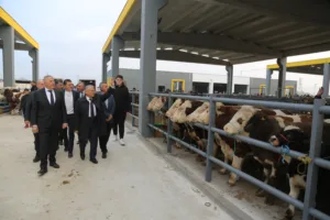 Başkan Büyükkılıç Canlı Hayvan Pazarı’nda Sıkı Pazarlığa Katıldı - Mega TV NURI4509 a - Mega TV