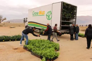 Elmalı'da 1300 Aronya Fidanı Çiftçiyle Buluşturuldu - Mega TV aronya fidan dagtimi elmali 14 min - Mega TV