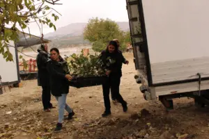 Elmalı'da 1300 Aronya Fidanı Çiftçiyle Buluşturuldu - Mega TV aronya fidan dagtimi elmali 3 min - Mega TV